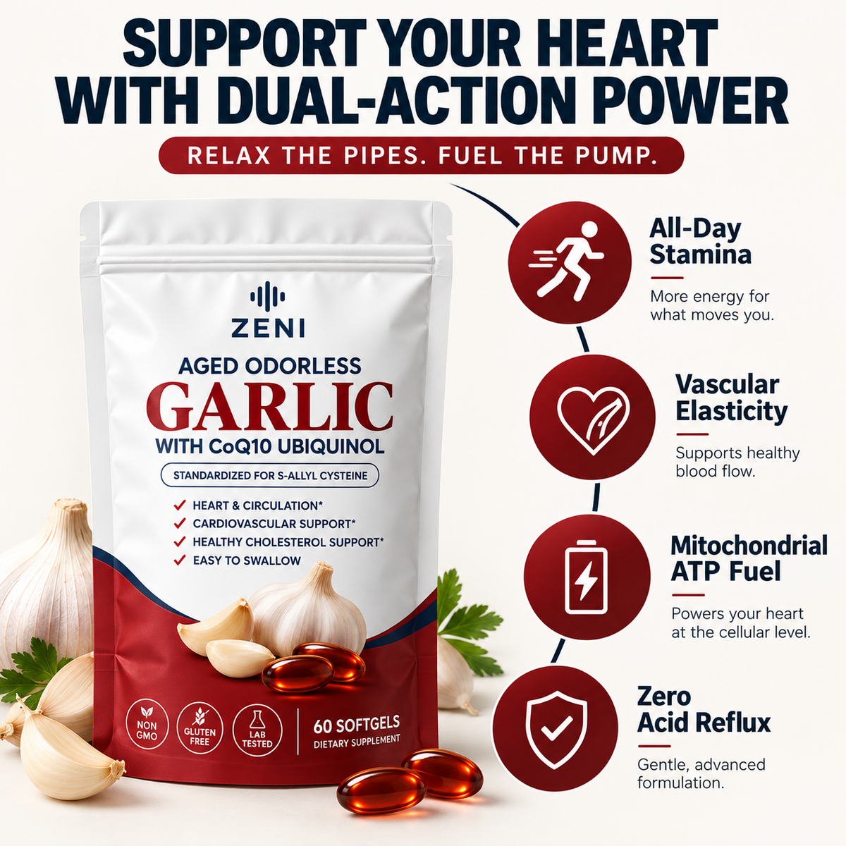 Japanese Heart Protocol (Aged Garlic + Ubiquinol)